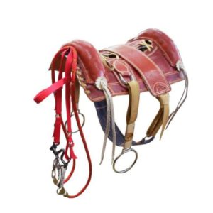 Arreio Banana JC Completo de Fita Polipropileno com Meia Argola de Metal Cores: Havana