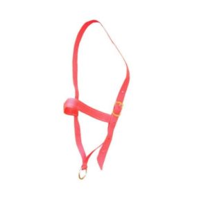 Burçal de Polietileno Vermelho Simples para Touro com Argola de Ferro