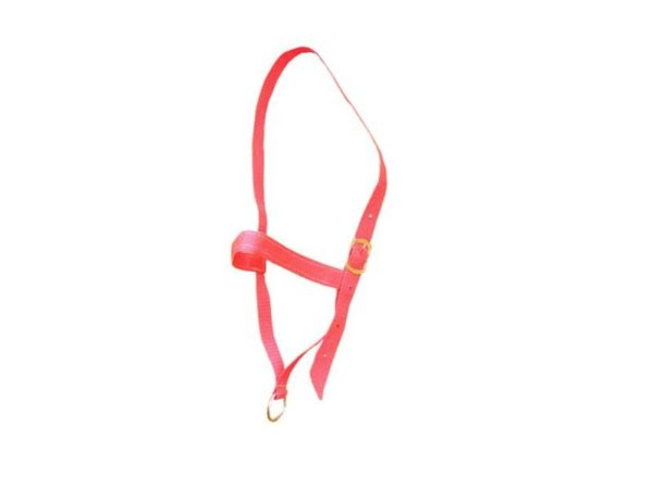 Burçal de Polietileno Vermelho Simples para Touro com Argola de Ferro
