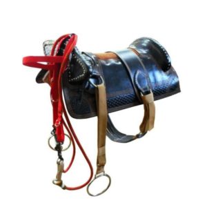 Arreio Guarapuavano Completo de Fita Polipropileno com Argola de Metal Chata