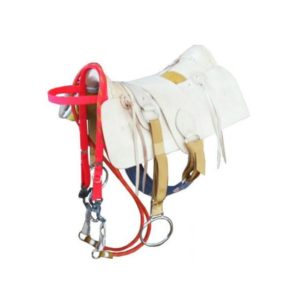 Arreio Junco Natural Completo de Fita Polipropileno com Argola de Metal Chata