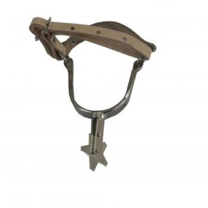 Espora de Ferro Niq. para Cavalo Rodeio com Correia