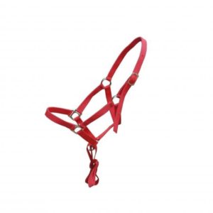 Burçal de Polietileno Vermelho Quarto de Milha Cores: Vermelho