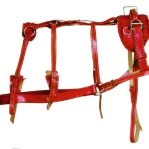 Arreata de Sola Tanina com Fivela de Metal