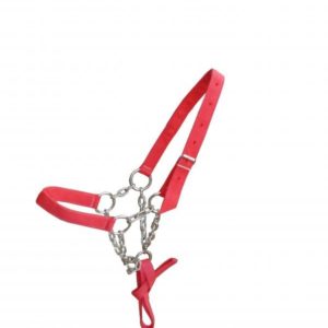 Cabresto de Polietileno com Corrente 05 Argolas Niquelado para Bezerro