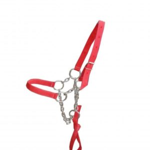 Cabresto de Polietileno com Corrente 05 Argolas Niquelado para Touro