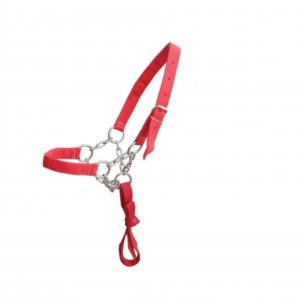 Cabresto de Polietileno com Corrente 05 Argolas Niquelado para Vaca