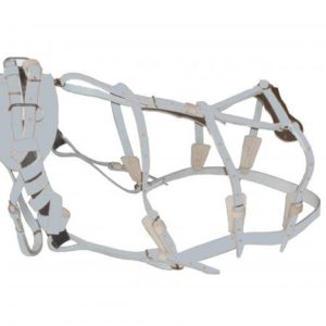 Arreata de Sola Cromo com Fivela de Metal