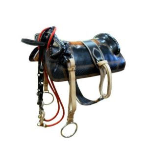 Arreio Guarapuavano Completo Couro com Argola de Metal Chata