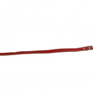 Coleira de Sola Cores Forrada para Cão n°5 Costurado