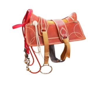 Arreio Cutiano Completo de Fita Polipropileno com Meia Argola de Metal