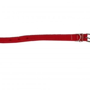 Coleira para Cão de Fita Polipropileno Dupla sem Reforço n°2