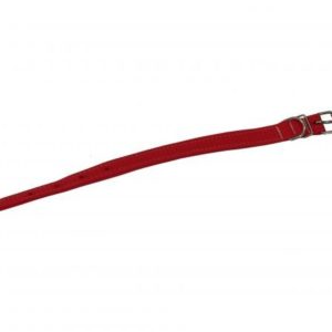 Coleira para Cão de Fita Polipropileno Dupla sem Reforço n°3