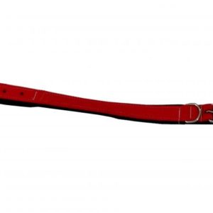 Coleira para Cão de Fita Polipropileno Dupla com Reforço n°4