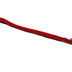 Coleira para Cão de Fita Polipropileno Dupla com Reforço n°5