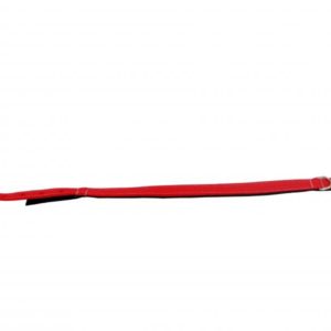 Coleira para Cão de Fita Polipropileno Dupla com Reforço n°6