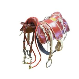 Arreio  1008 Havana Completo Couro com Argola de Metal Chata Cores: Havana