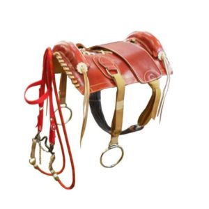 Arreio Banana CM Completo de Fita Polipropileno com meia Argola de Metal Cores: Havana