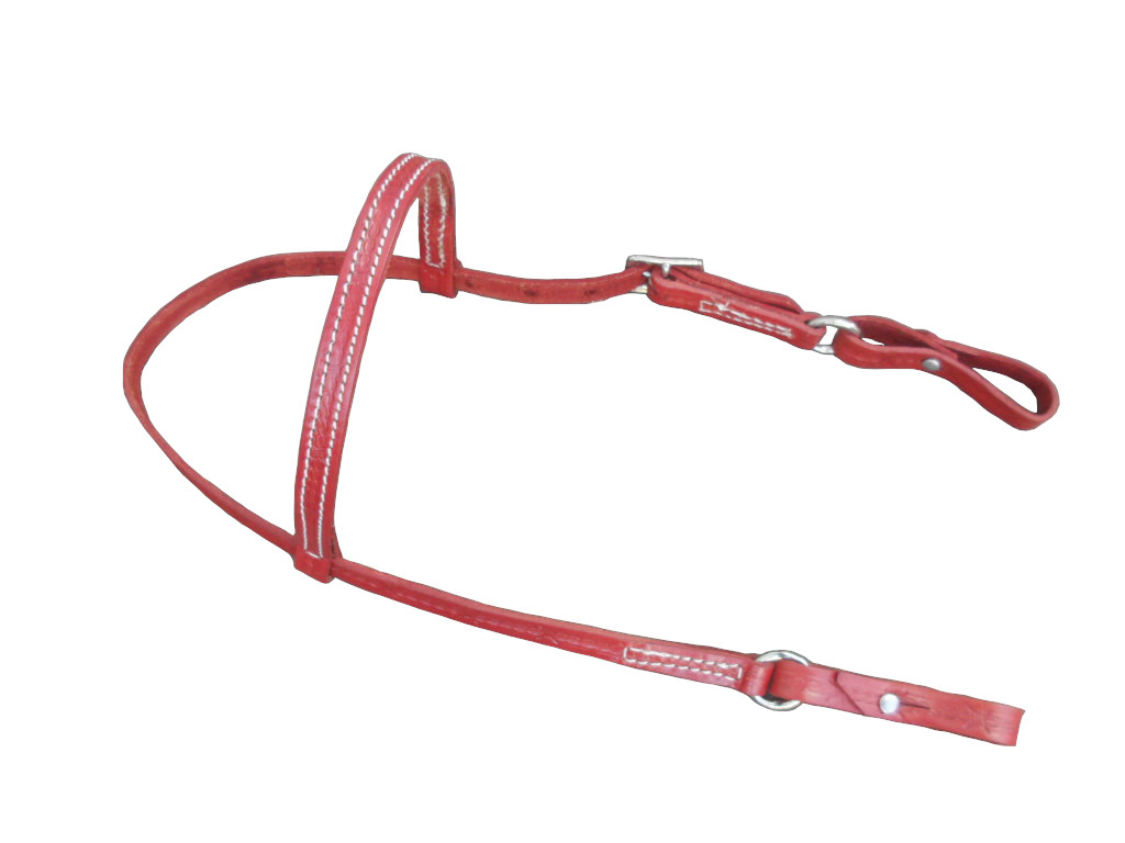 Cód 589 Cabeçada de Couro 22mm com Argola de Ferro (2)